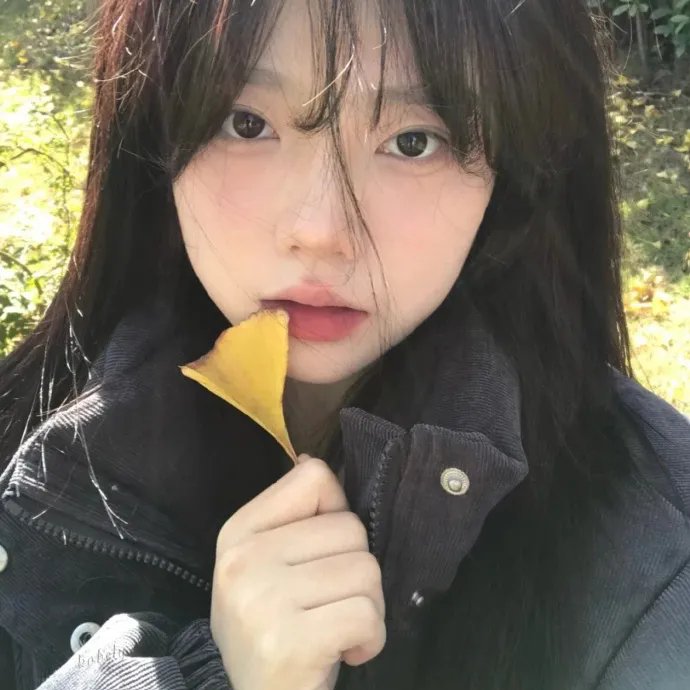 龙牌之谜